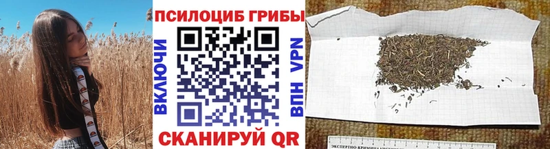 Псилоцибиновые грибы ЛСД  цены наркотик  Рассказово 