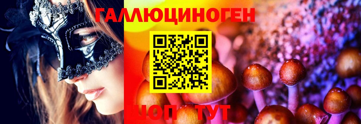 купить наркотик  Псилоцибиновые грибы ЛСД  Вход с VPN  Рассказово 
