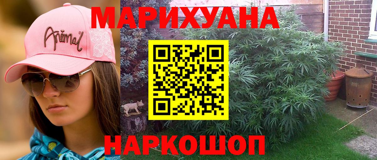 Конопля гибрид Рассказово